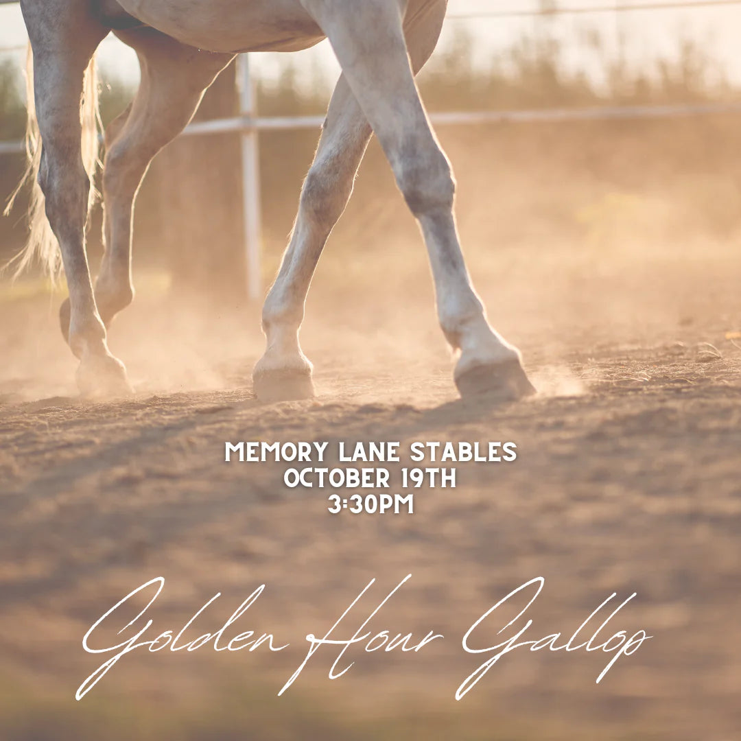 10/21 Trail Ride Golden Hour Gallop